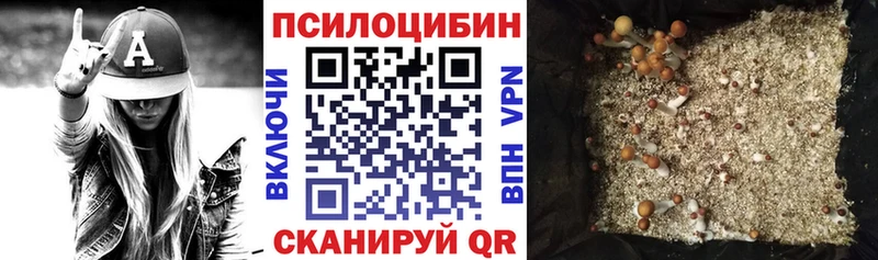 Галлюциногенные грибы прущие грибы  Кимры 